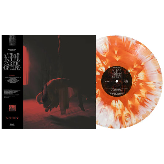 Knocked Loose/A Tear In The Fabric Of Life
